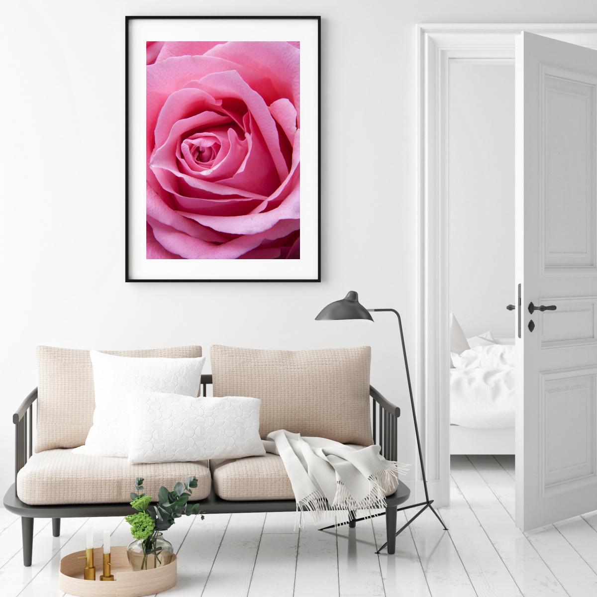 Plakát - Růžová růže (S040005SA4)