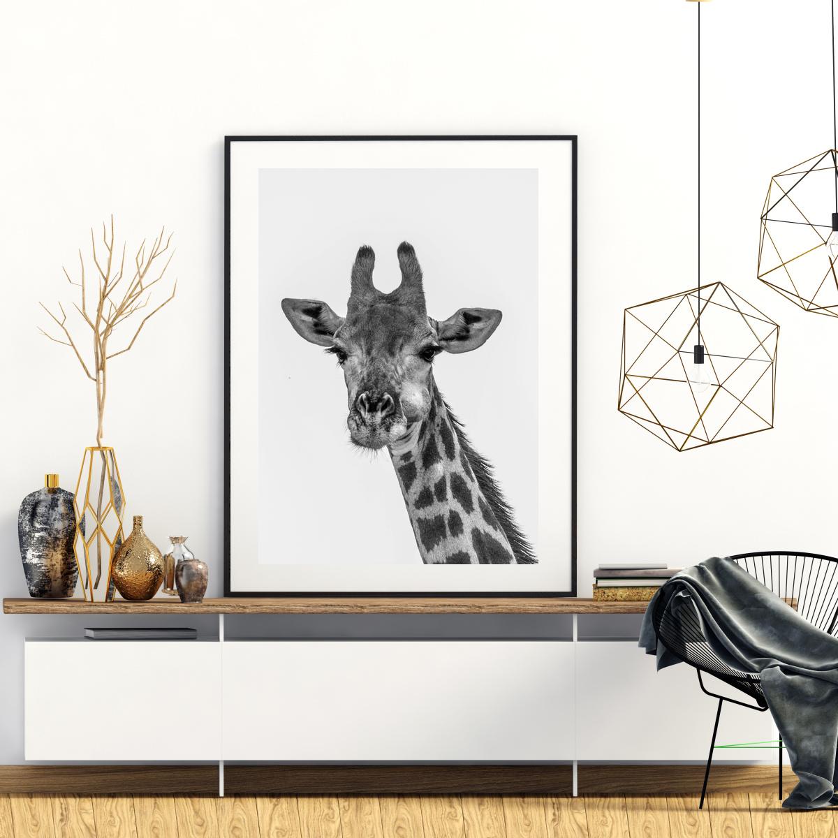 Plakát - Žirafa (S040009)