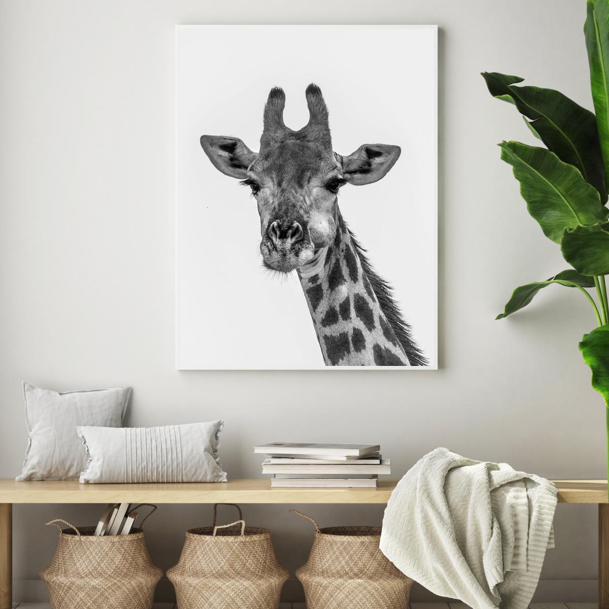 Poster - Girafa (S040009)