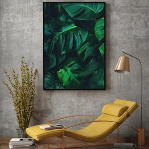 Plakat - Monstera